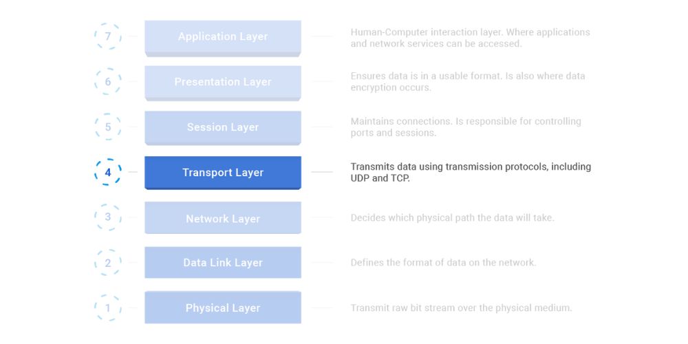 Highlighting the transport layer in the osi model graph