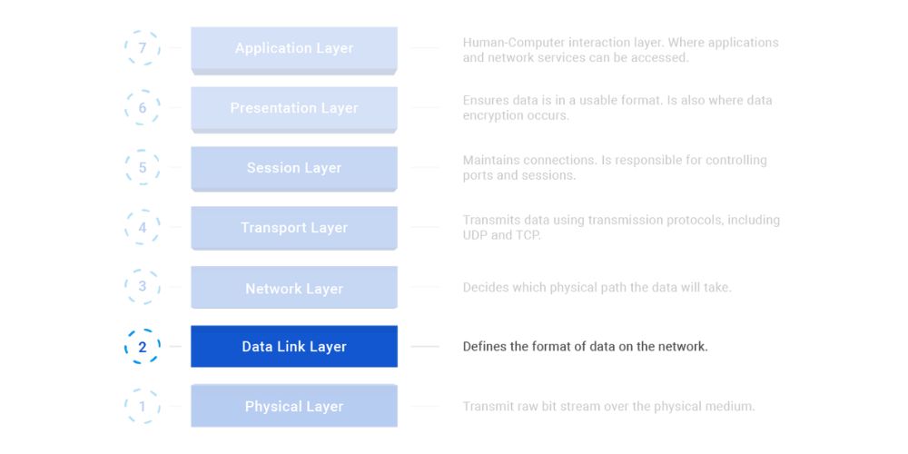 Highlighting the data link layer in the osi model